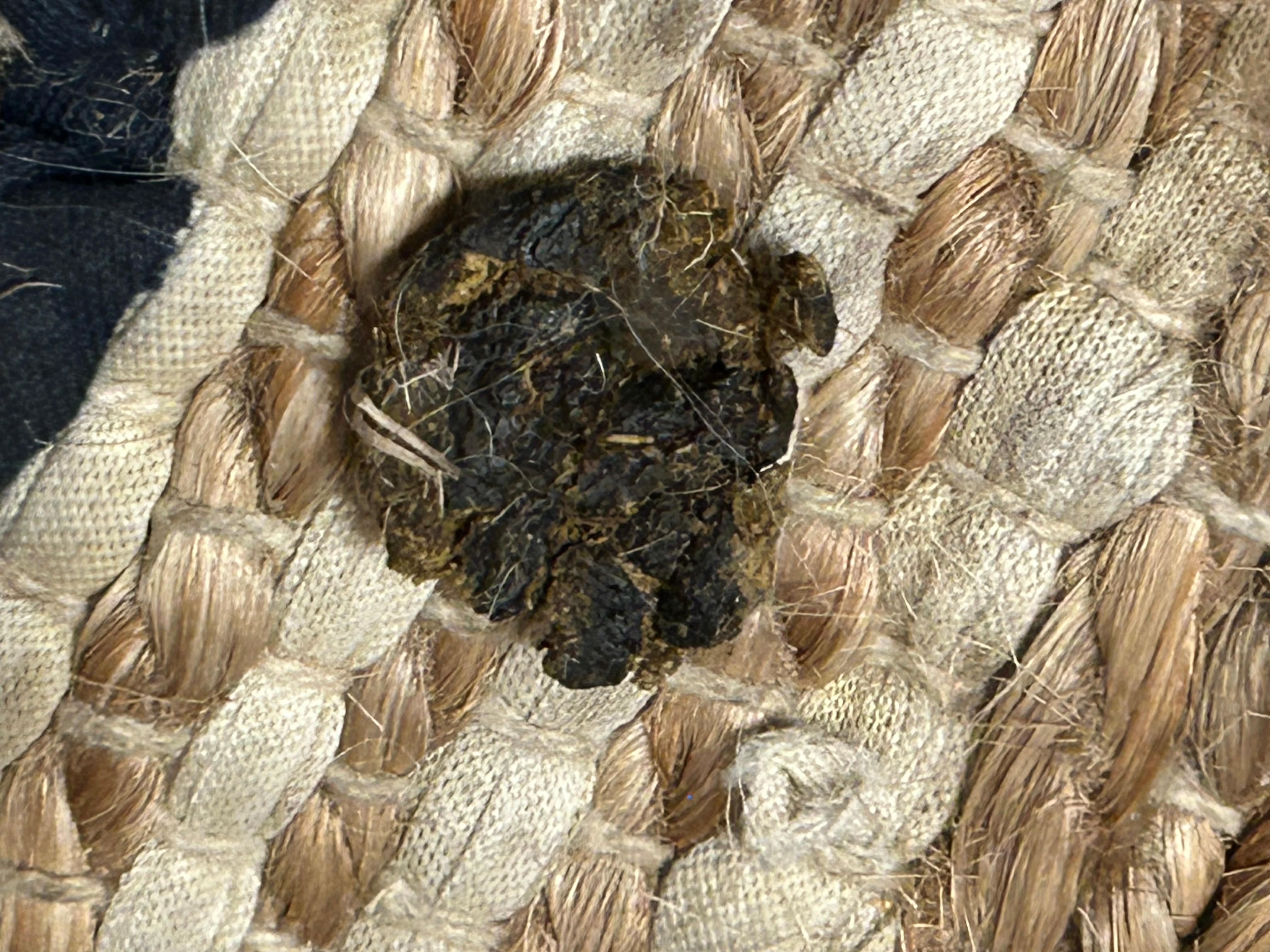 Found under kitchen table