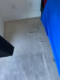 Bedroom rug.
