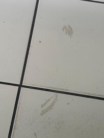 dirty floors