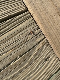 Peeling paint