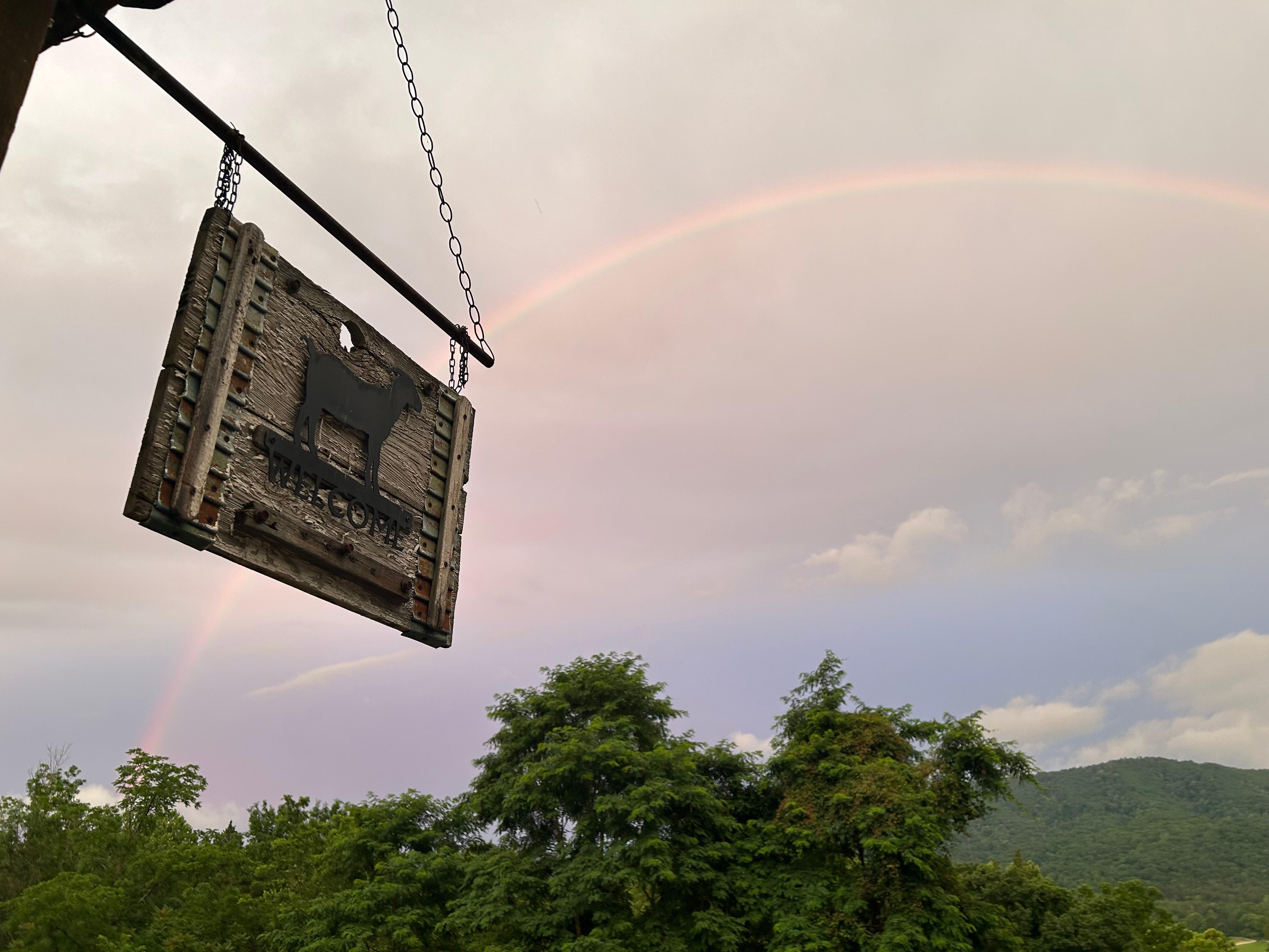 Gorgeous rainbow 