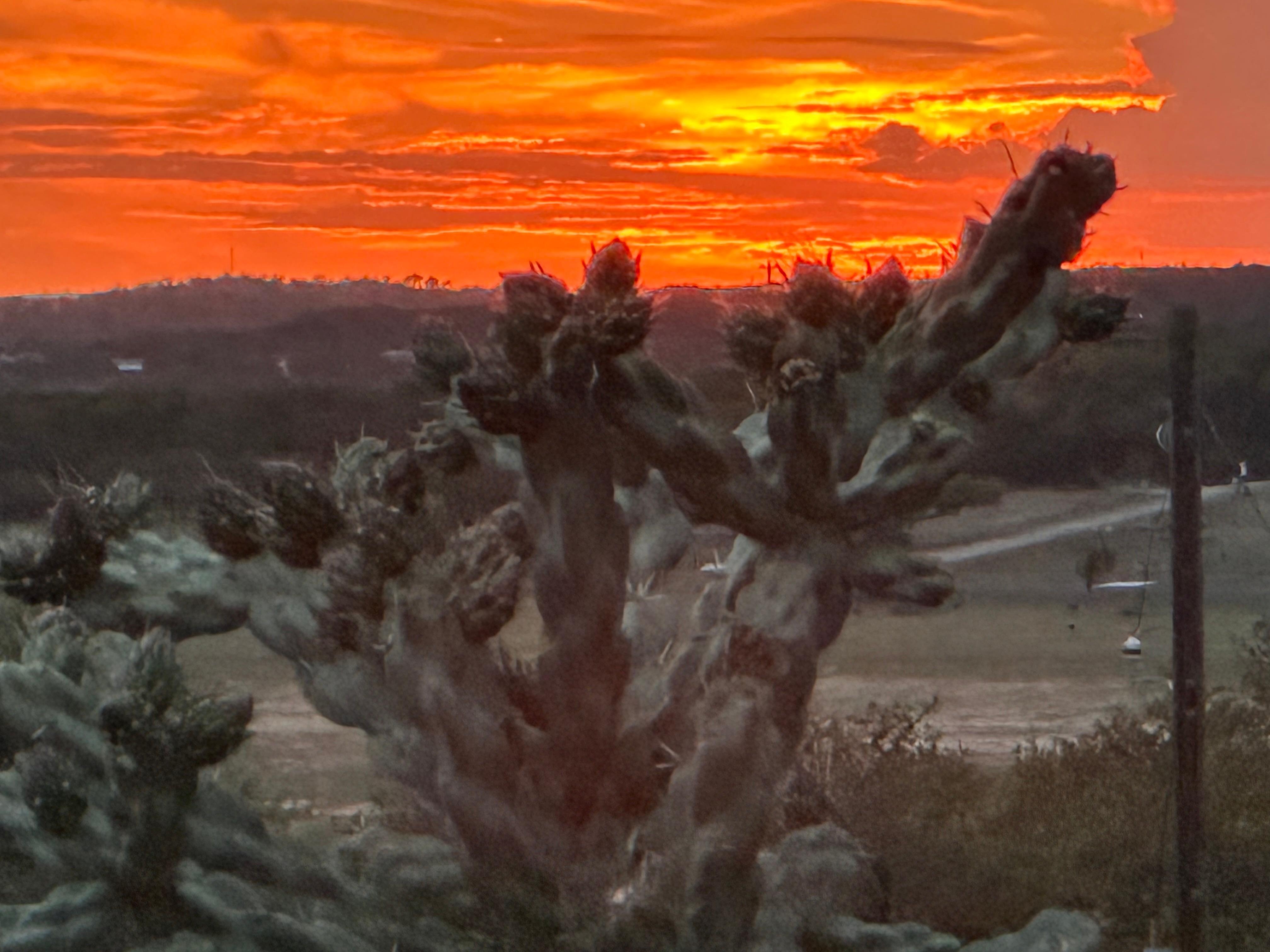 Sunset from the driveway. 