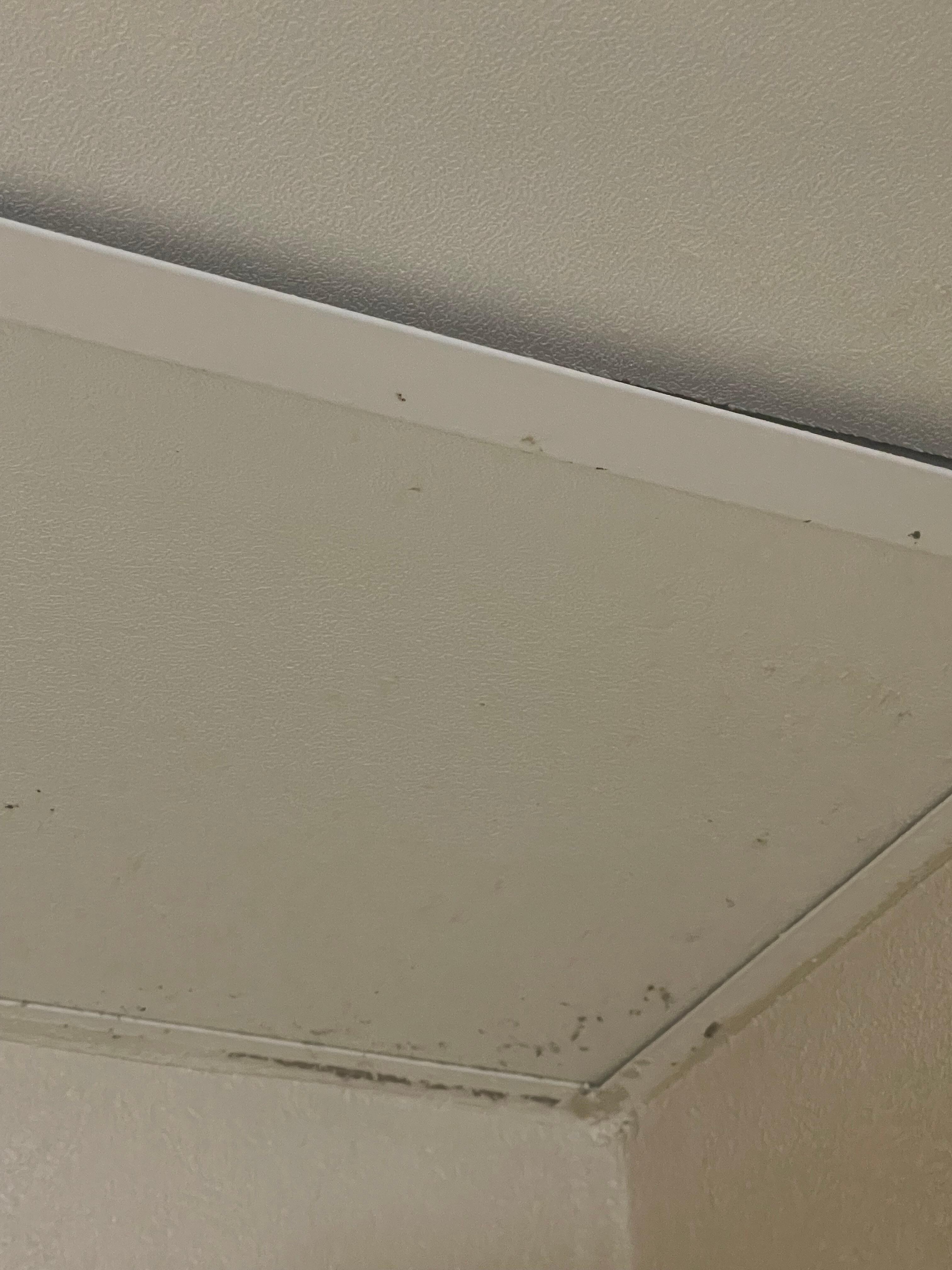 Mold and mildew in bathroom 