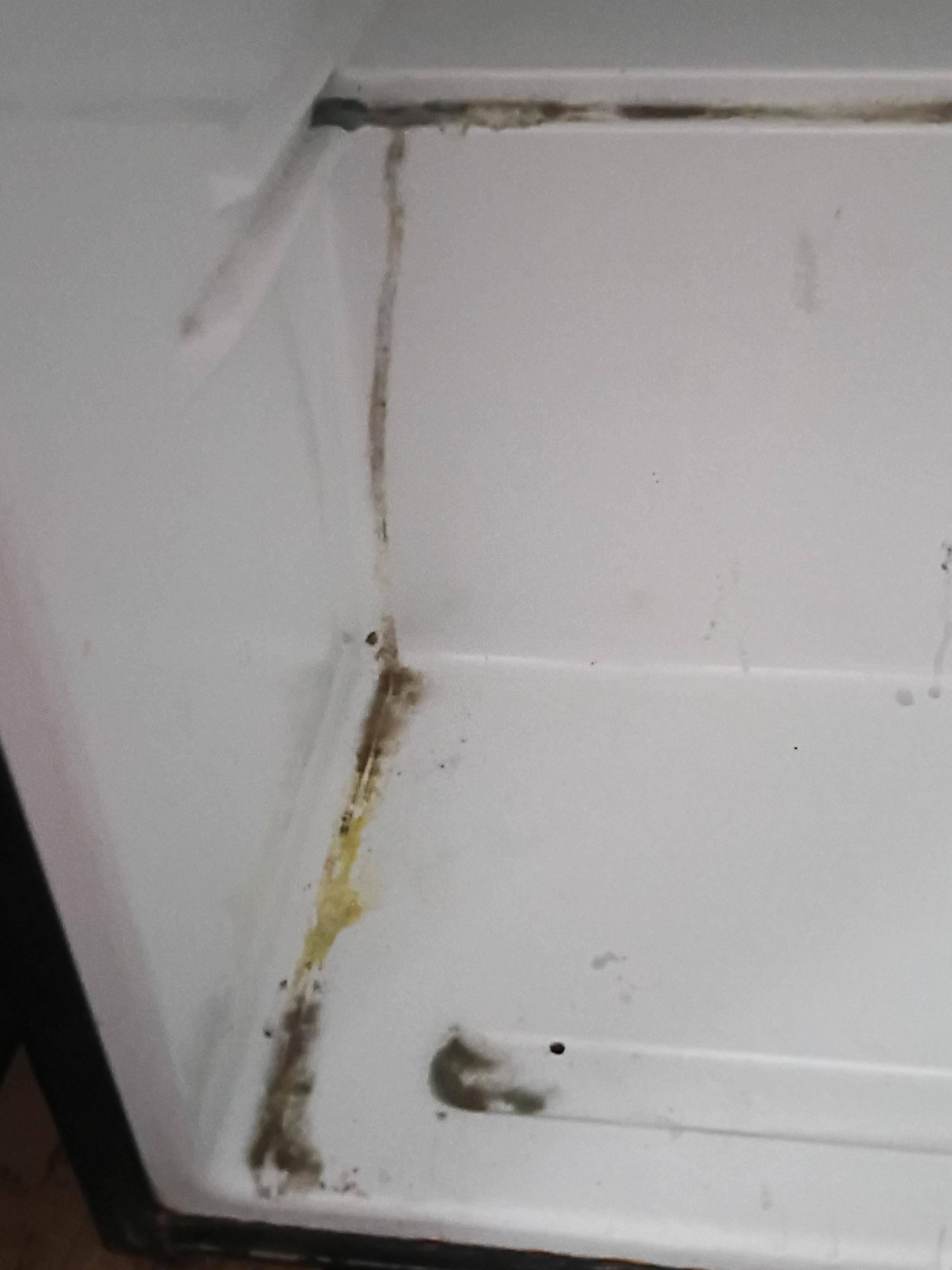 That would be black mold in a refrigerator