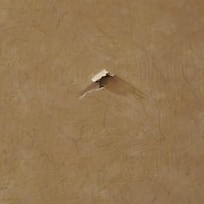 Hole in the wall of my room