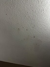 Mold