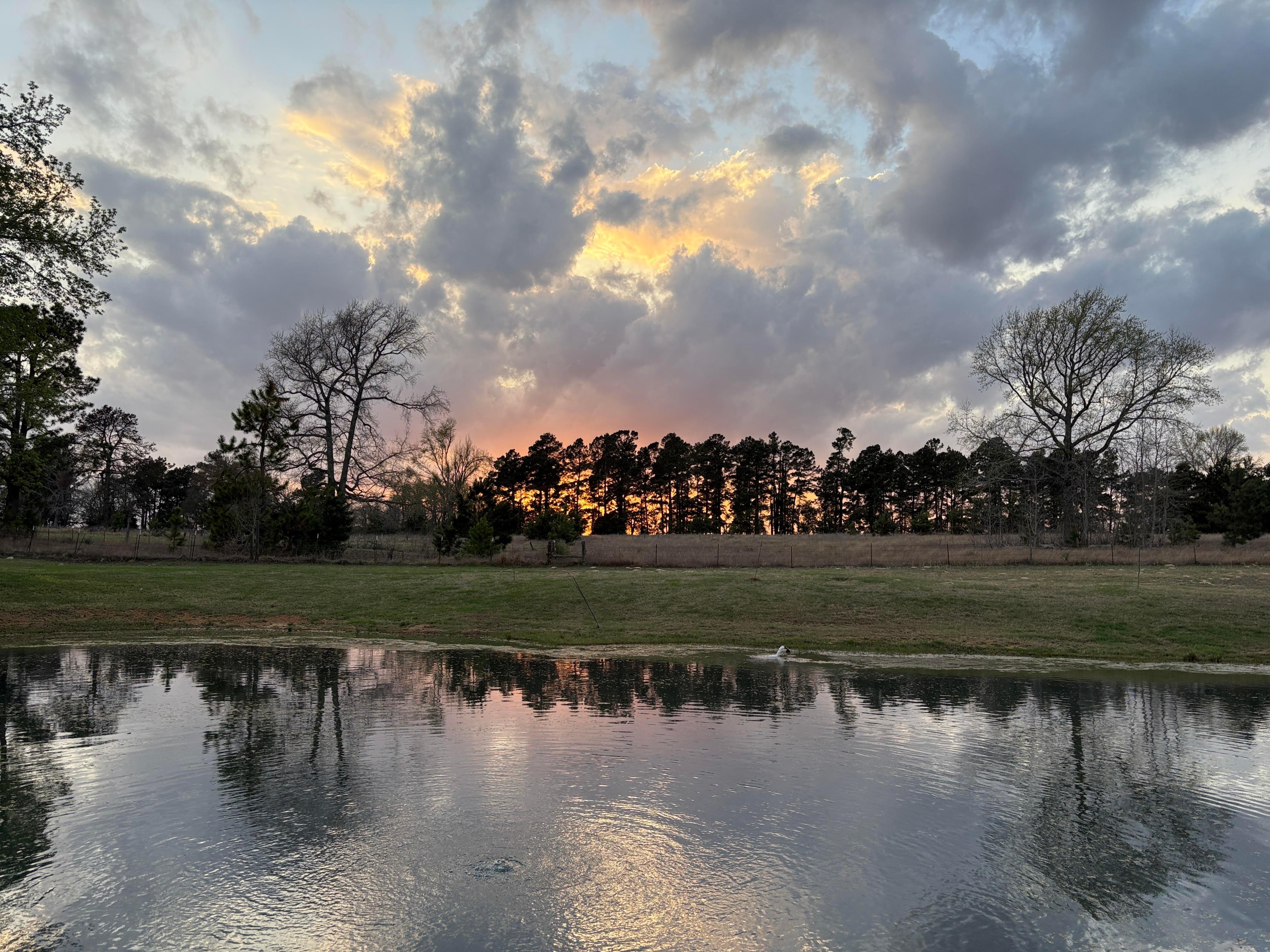 Beautiful Sunset over the pond