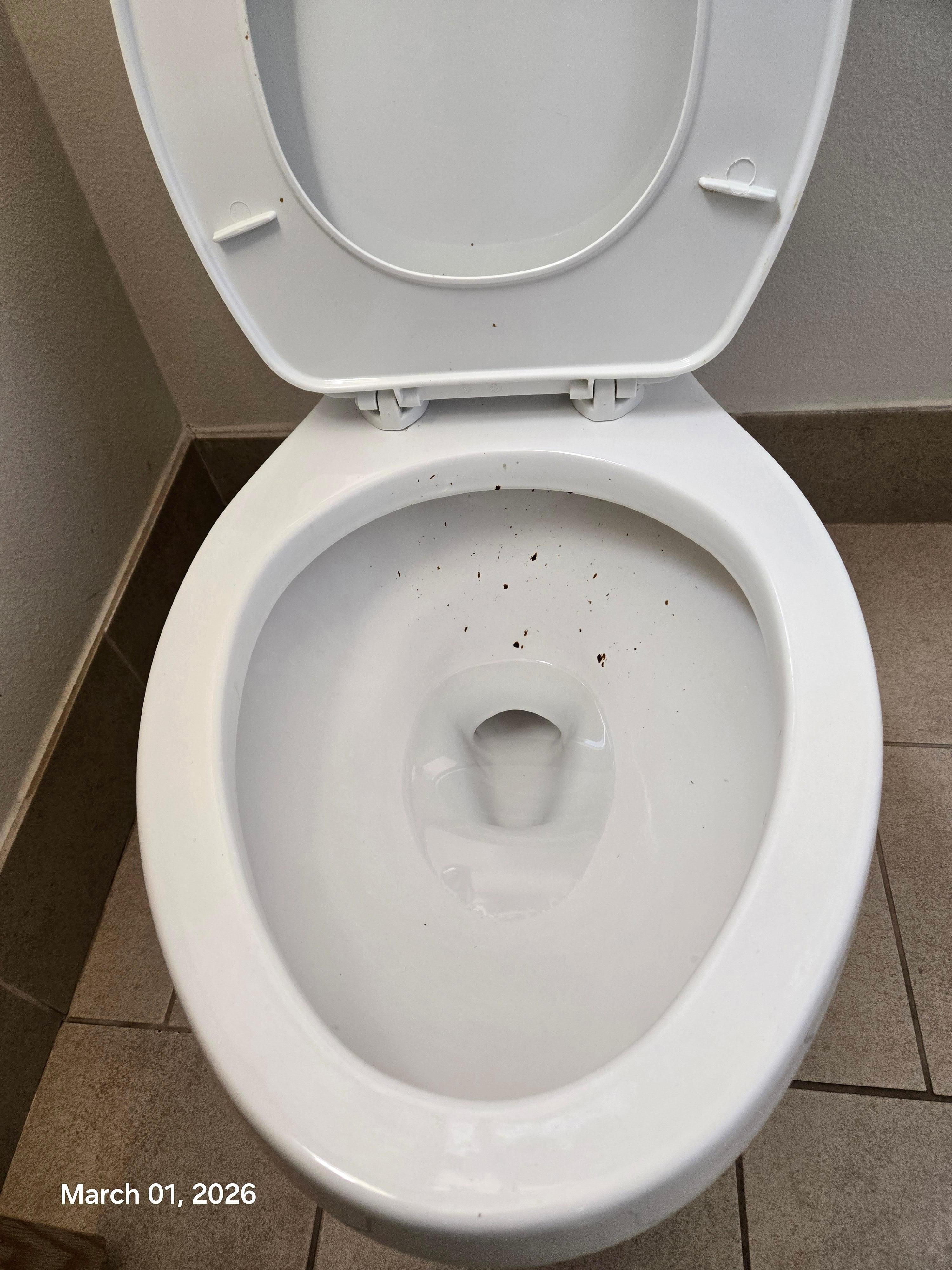 Dirty toilet.