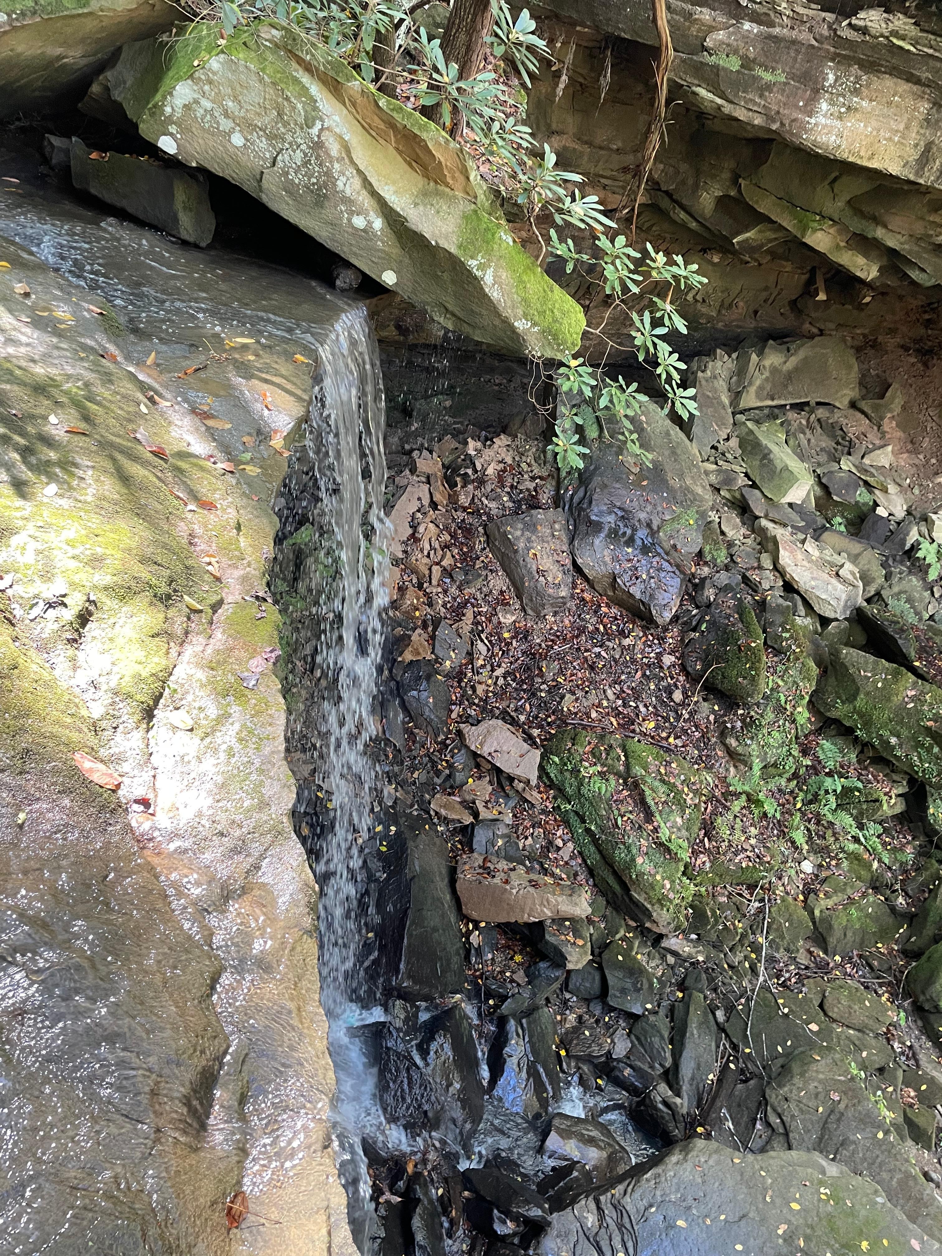 Waterfall on the property 