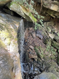 Waterfall on the property