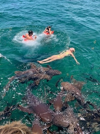 Swimming with sharks!