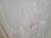 Shower curtain