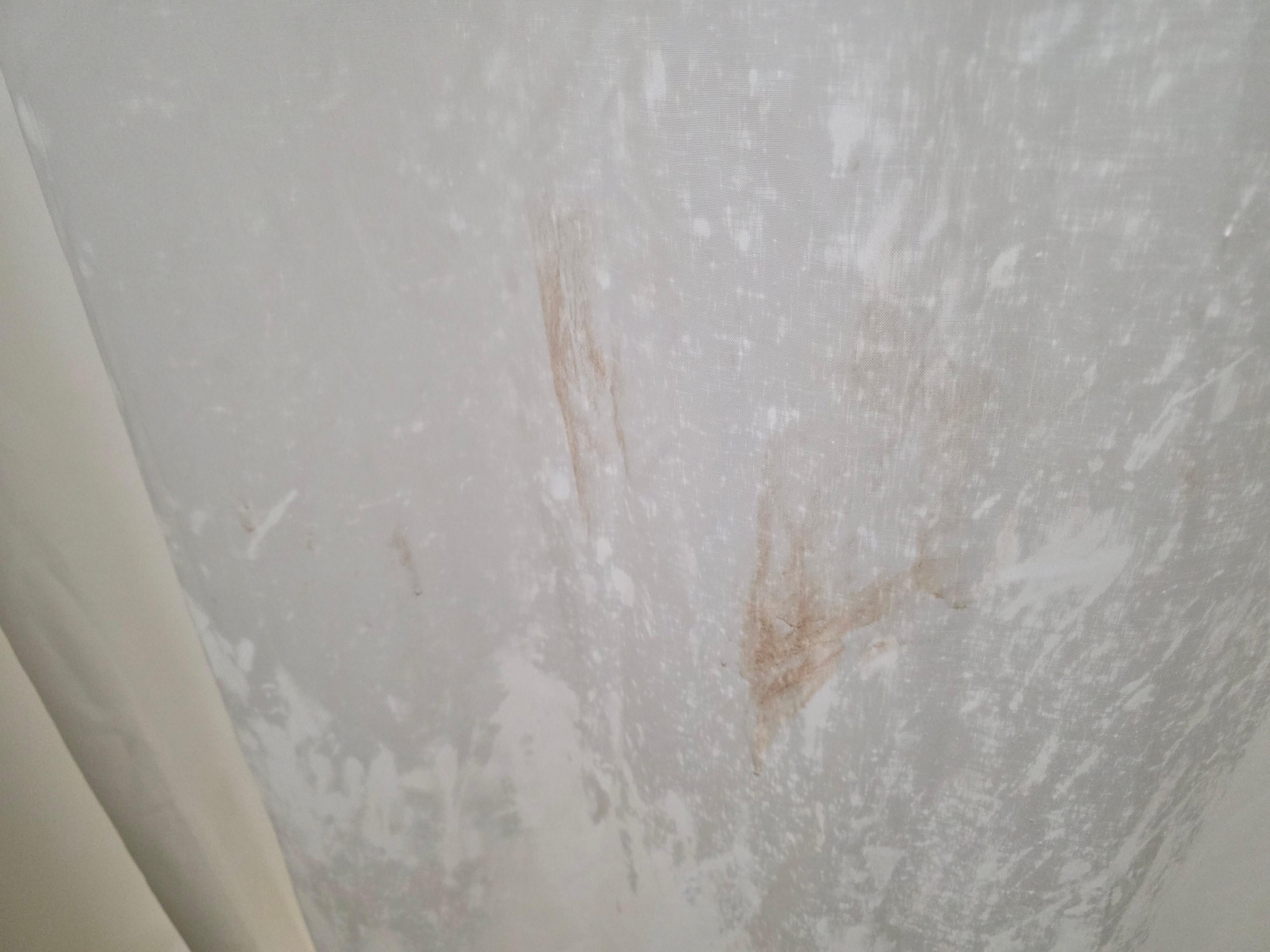 Shower curtain 
