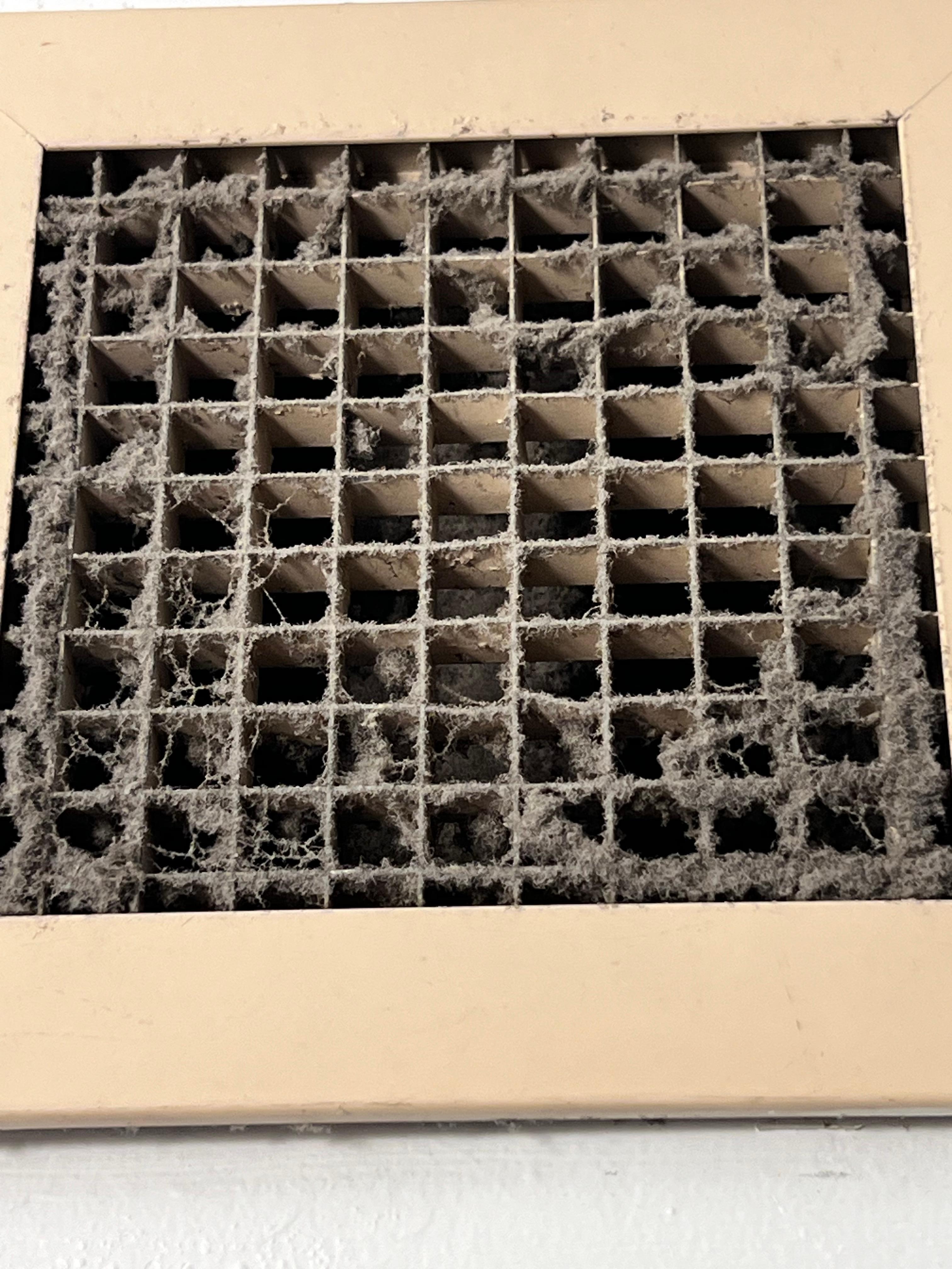 Bathroom vent that hasn’t seen a cleaner for years