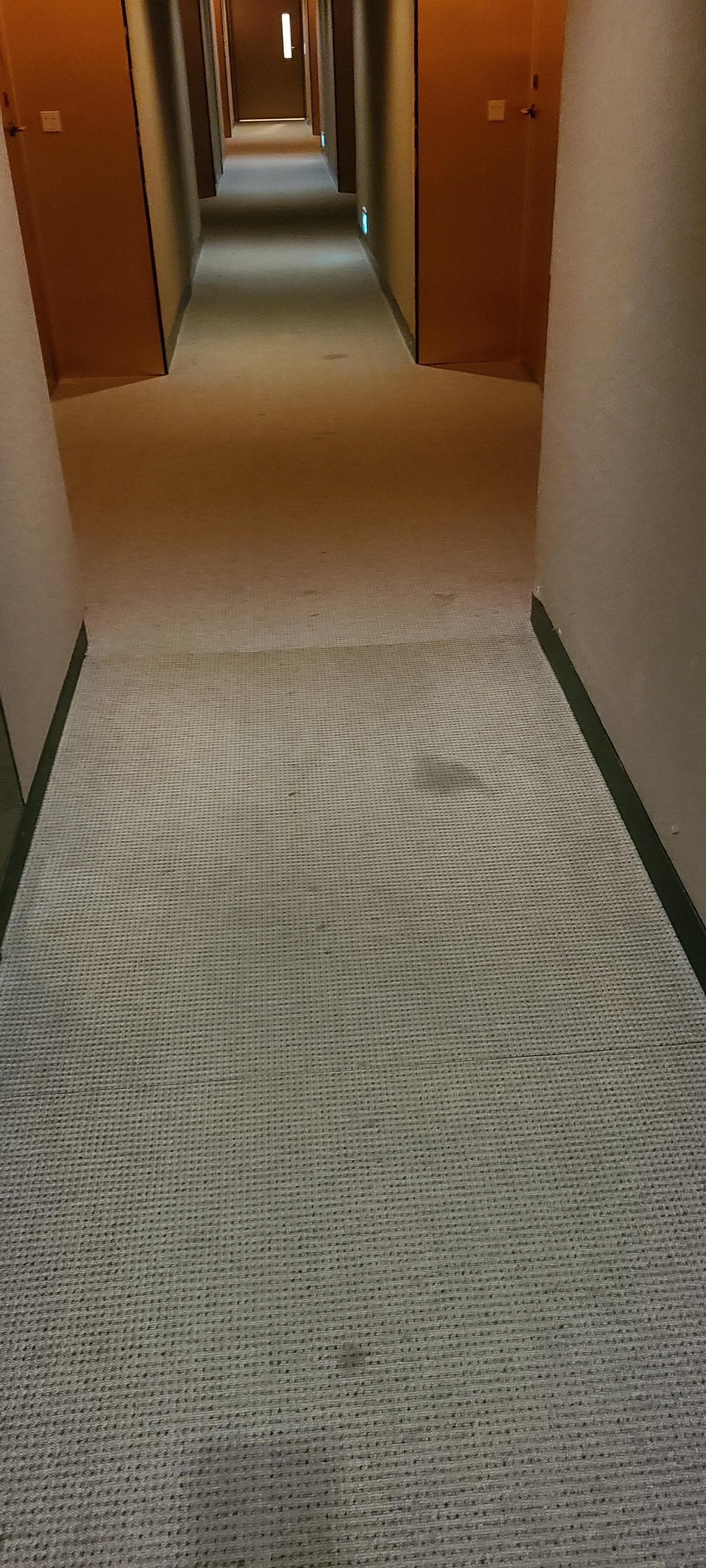 Gross stains all over the carpets.