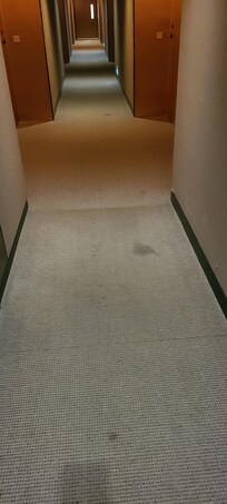 Gross stains all over the carpets.