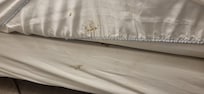 Left side of the bed - not really sure what this is.