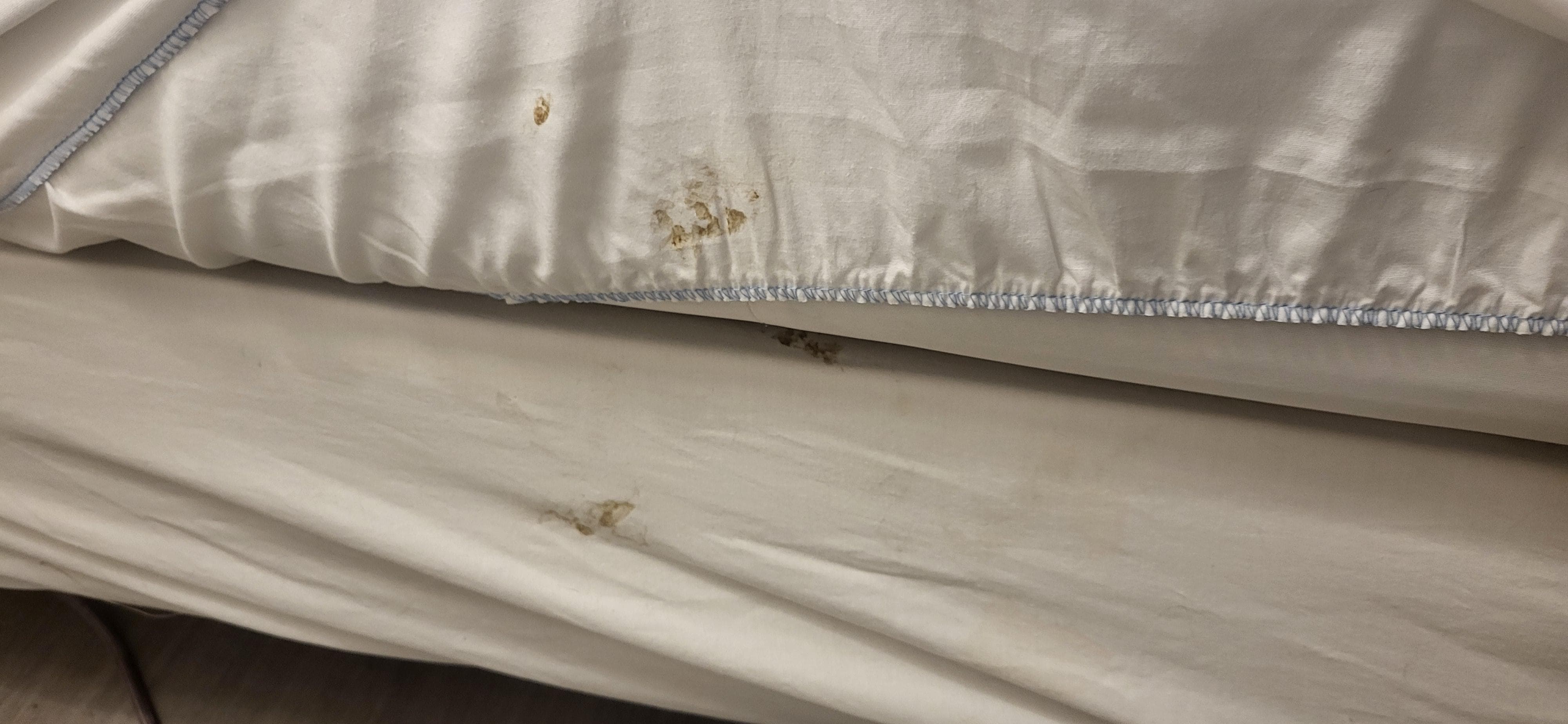 Left side of the bed - not really sure what this is.