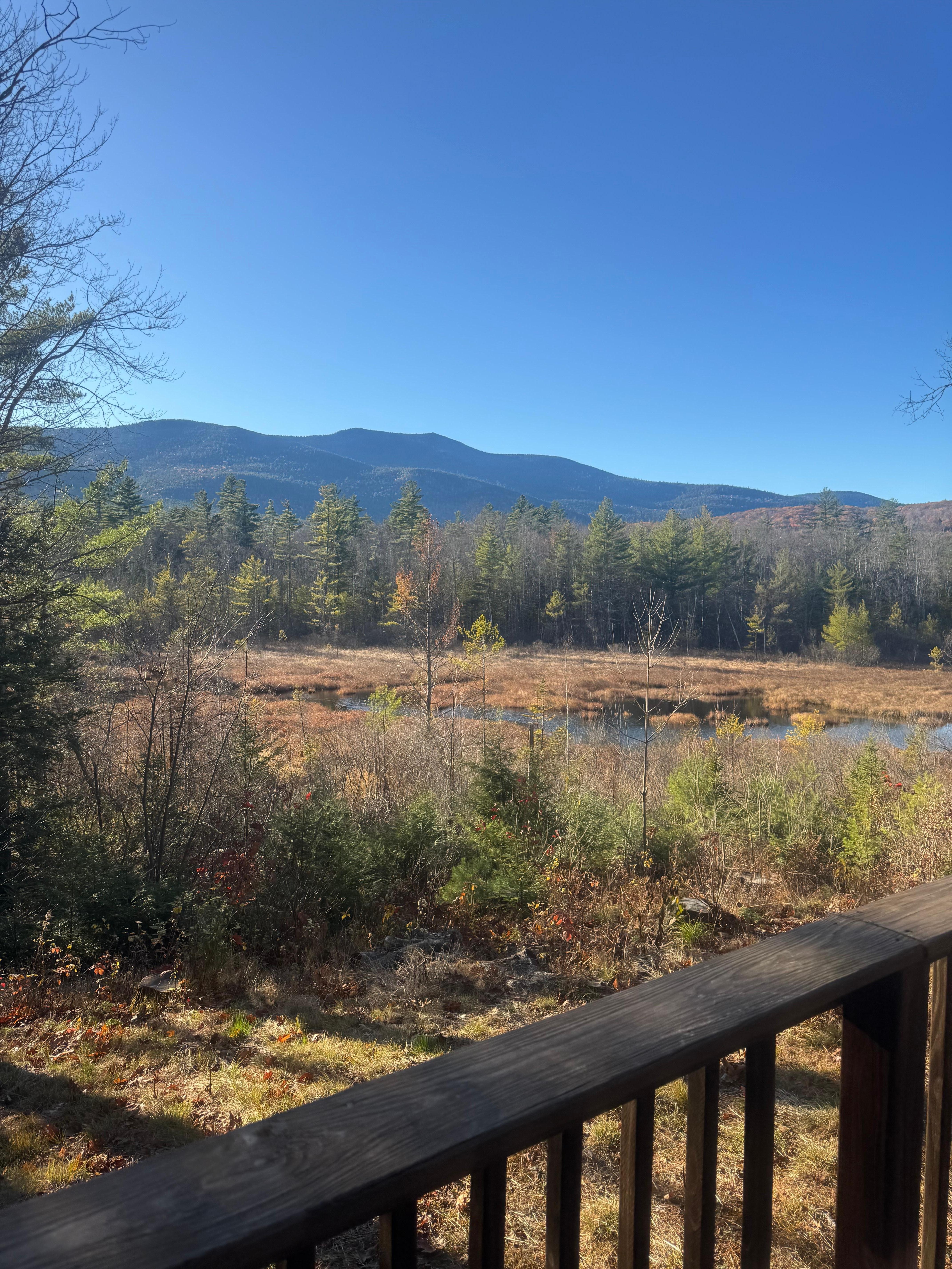 This is the view from the back deck it’s stunning!