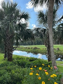 View from outside living area