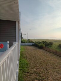 Looking North