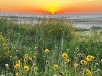 Sunrise from ground level headed to beach by bridge