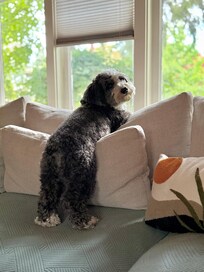 Taking in the view out front