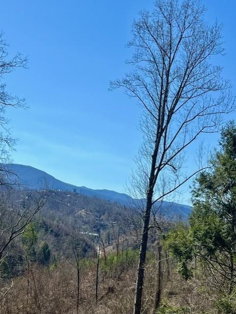 Daytime from the top balcony, looking at Gatlinburg.