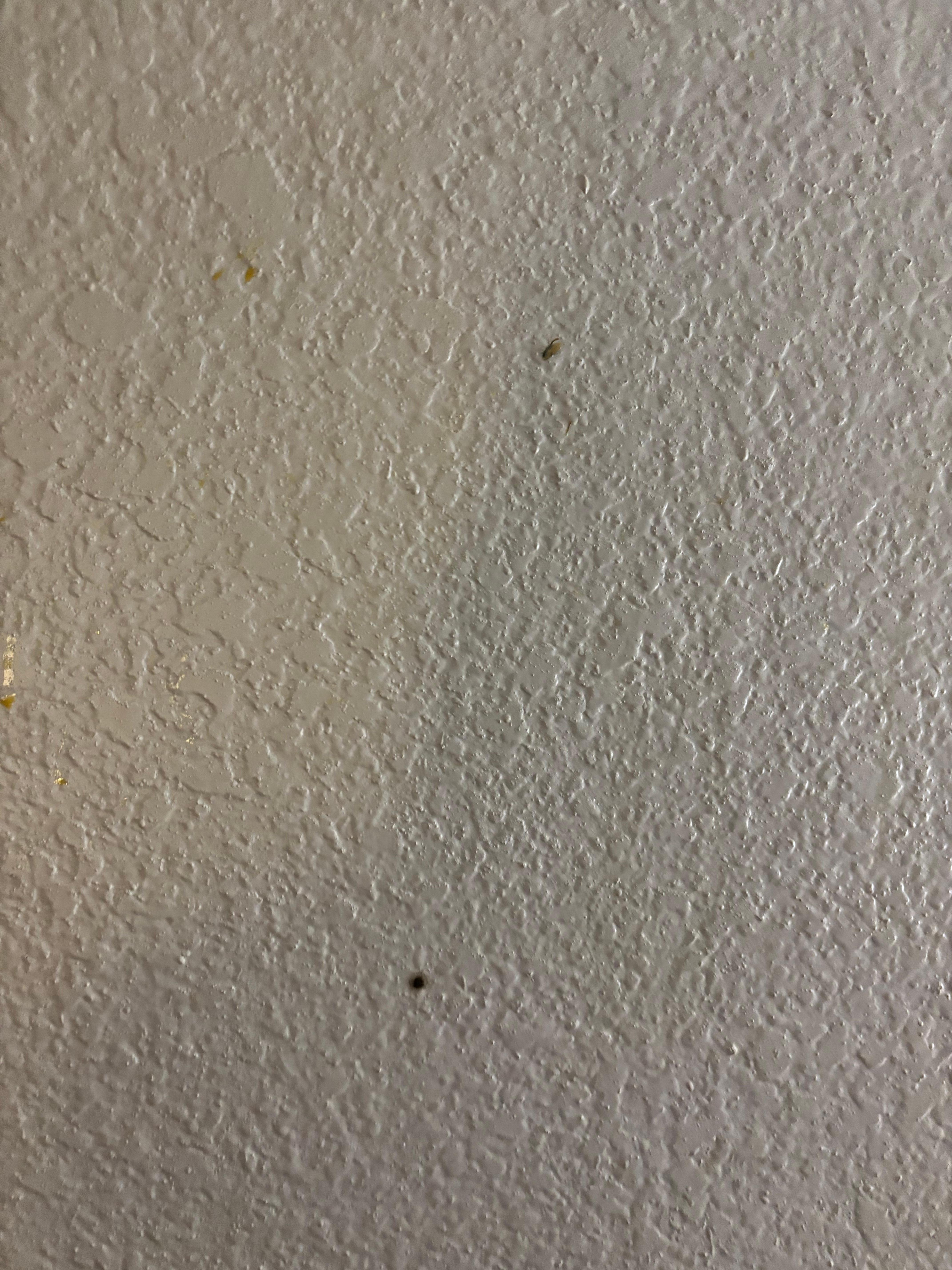 Dirt on wall