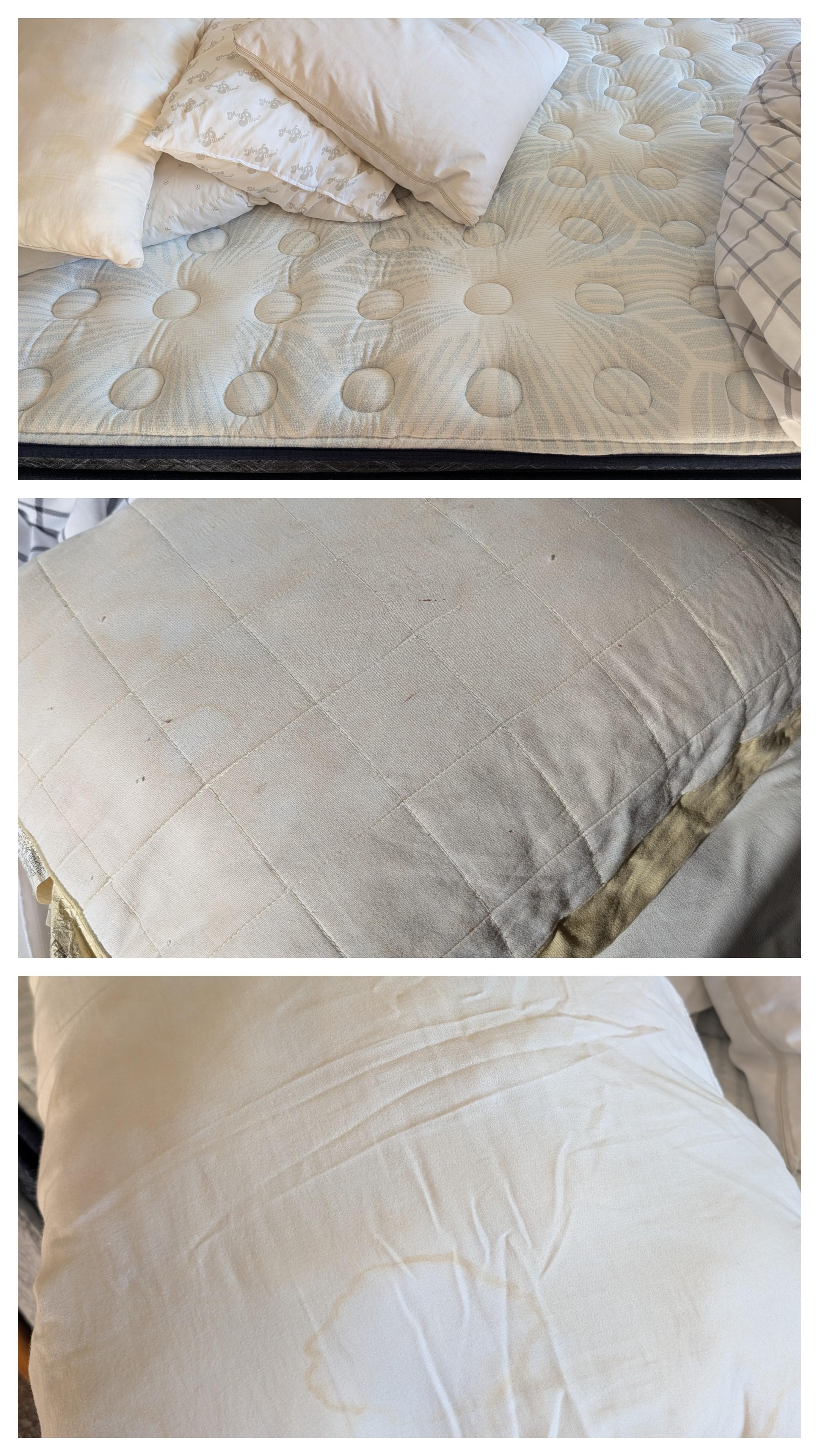 Mattress with no protective cover and stained pillows that also had no protective covers 
