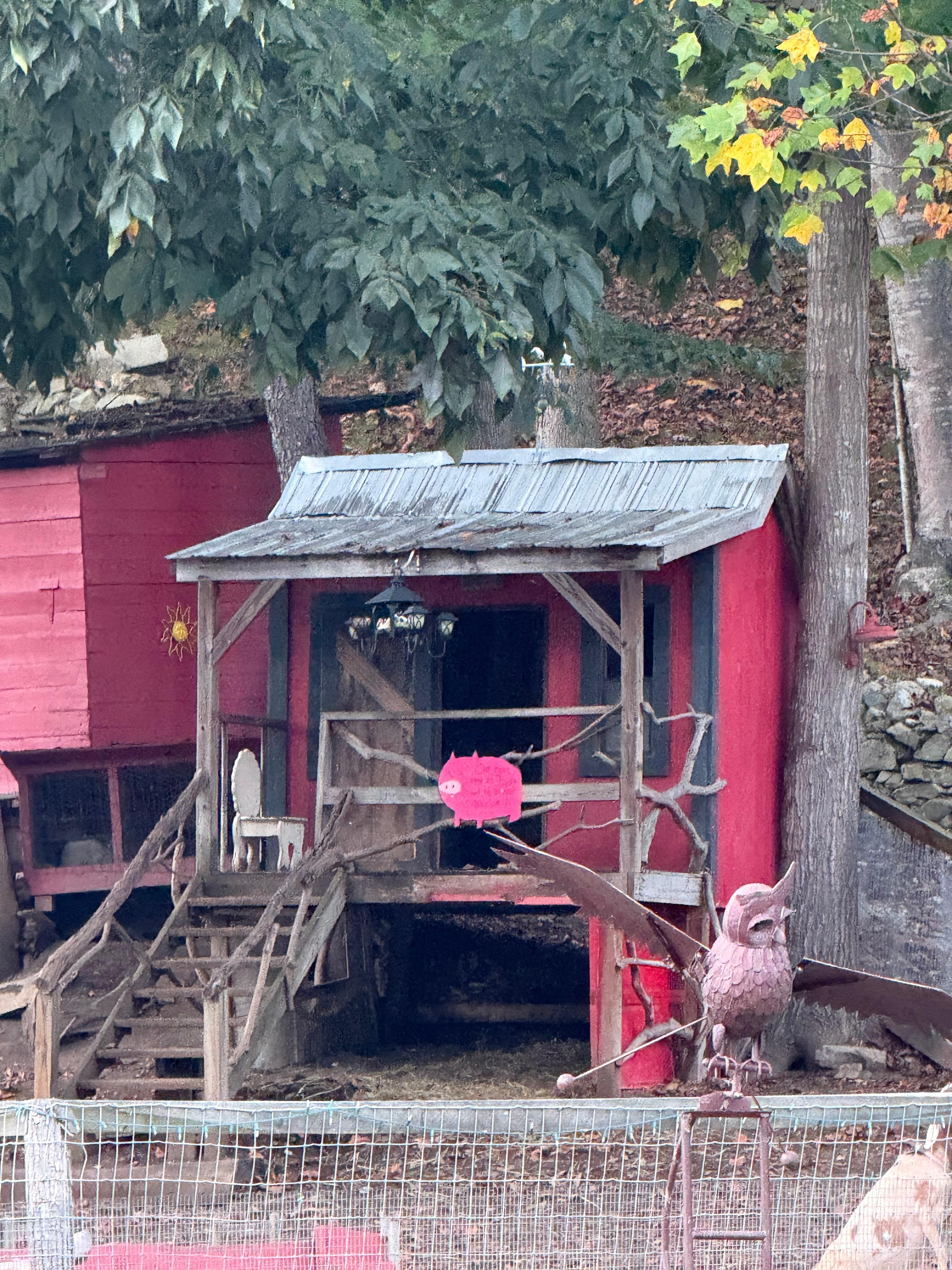 Goat house and rabbit hutch.