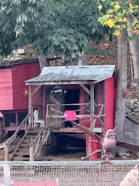 Goat house and rabbit hutch.