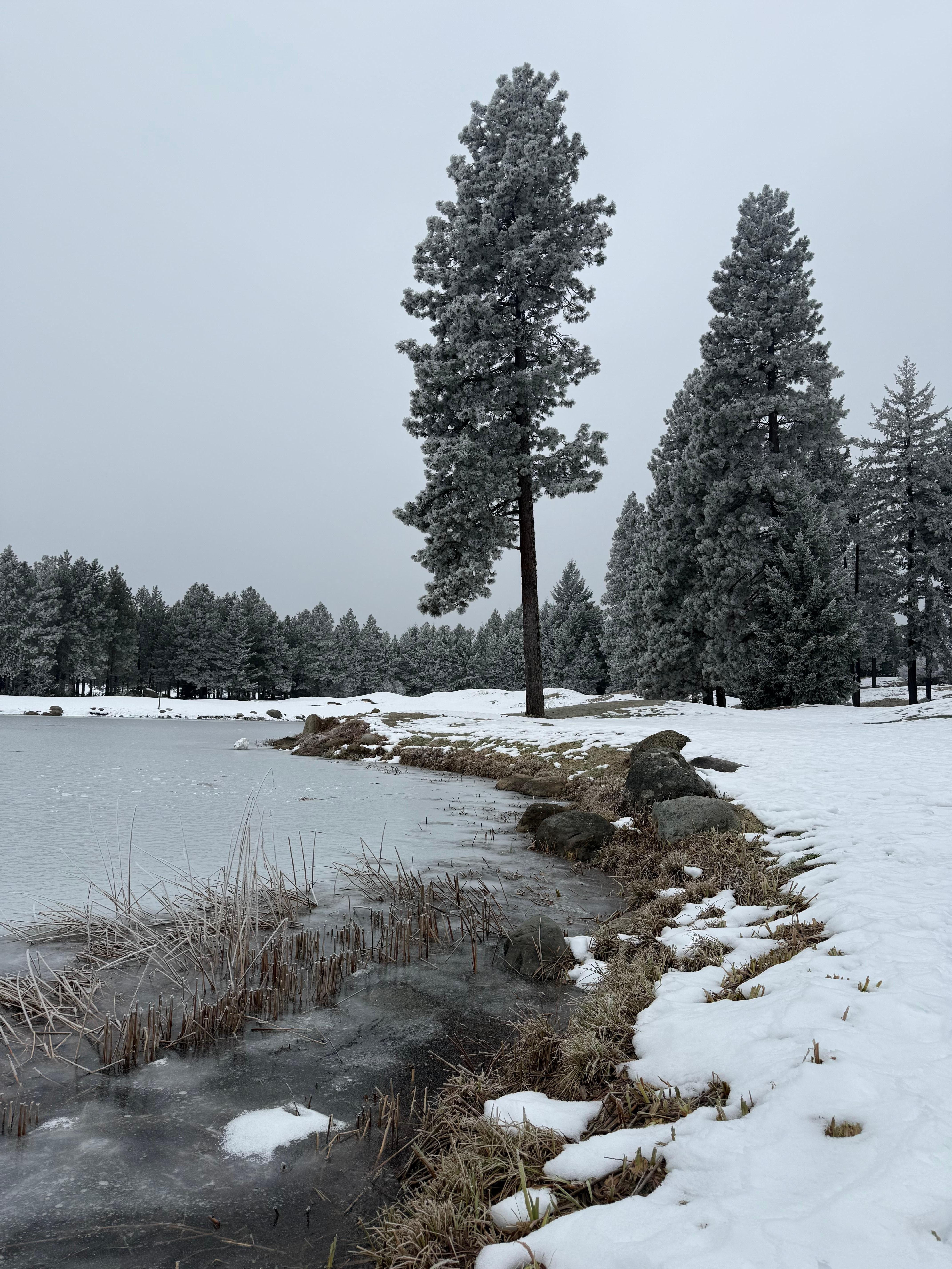 The golf course near the house.