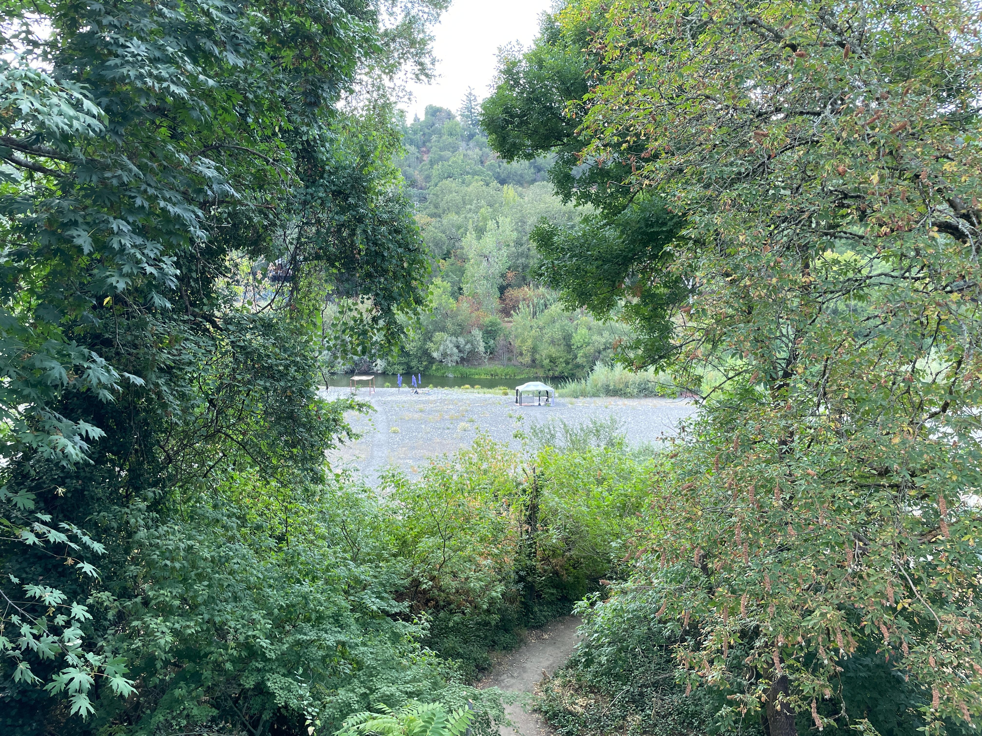 View from back porch. 