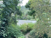 View from back porch.