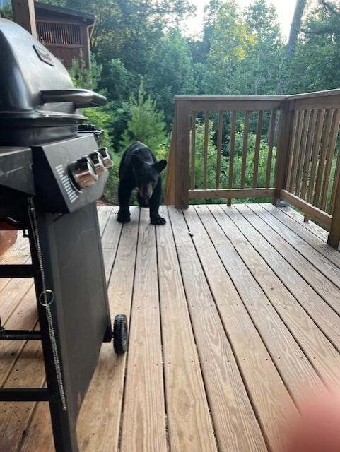 Morning guest for coffee