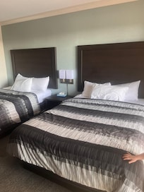The 2 beds (very soft)