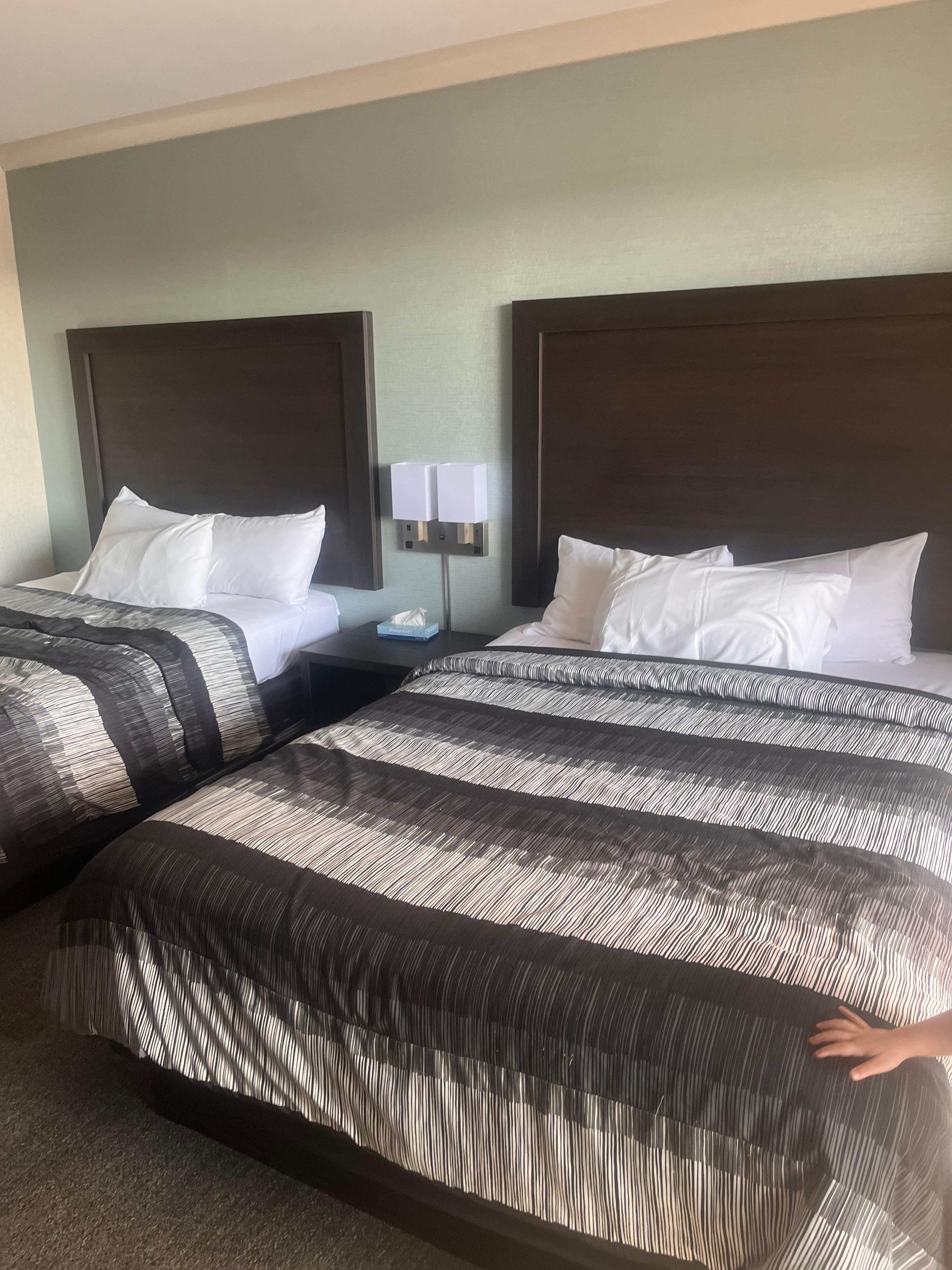 The 2 beds (very soft)