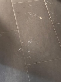 Paint on the bathroom floor from the insane amount of painting.