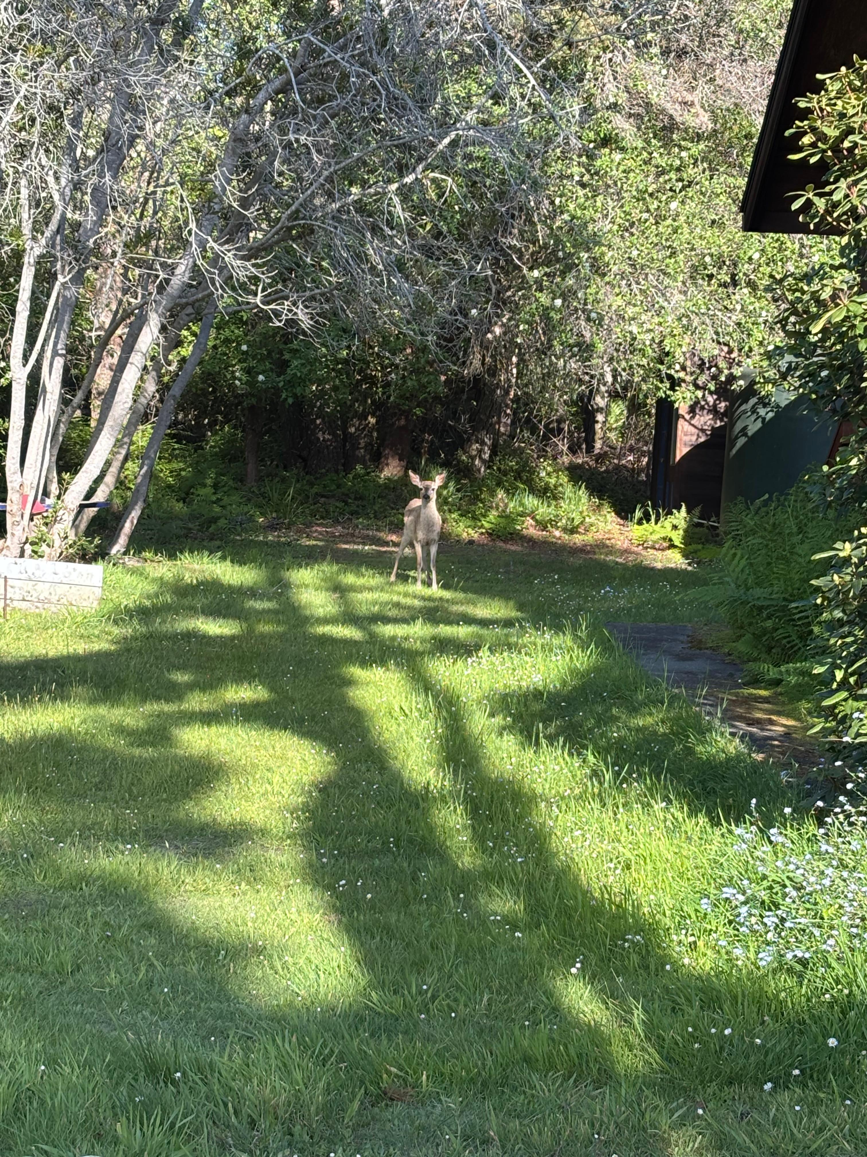 Welcoming committee. 