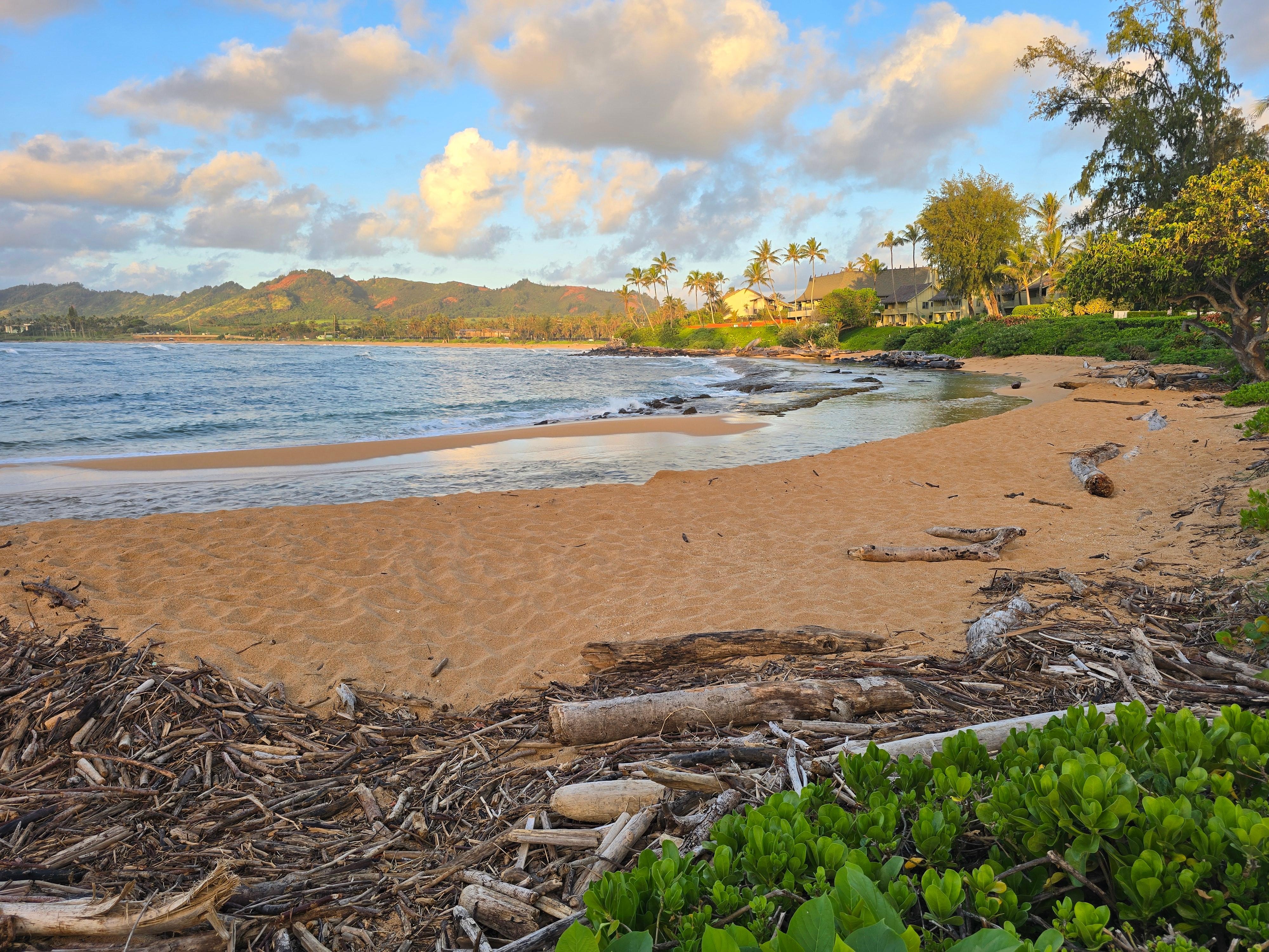 Beach out front 
