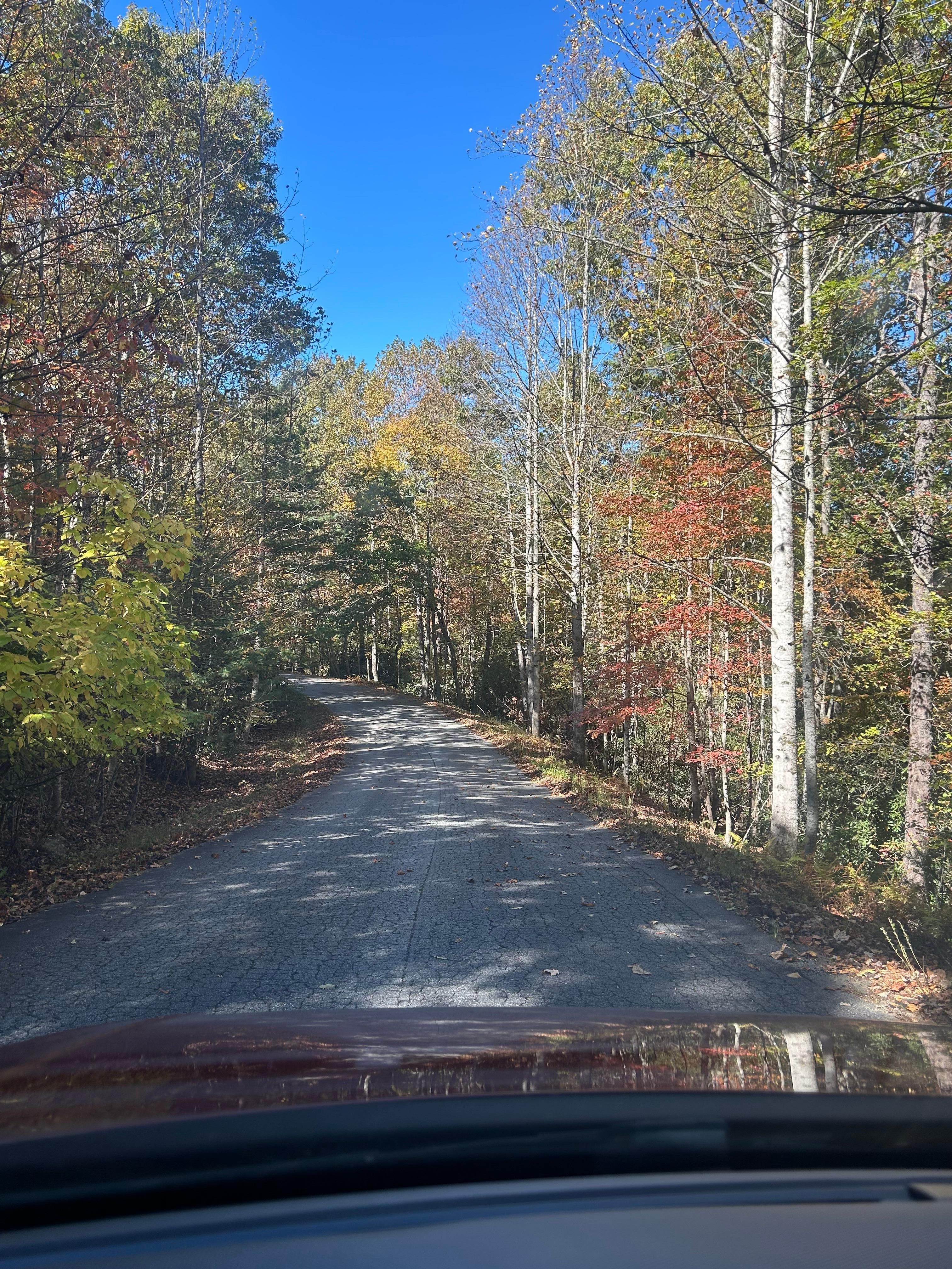 Street view.  Very nice 