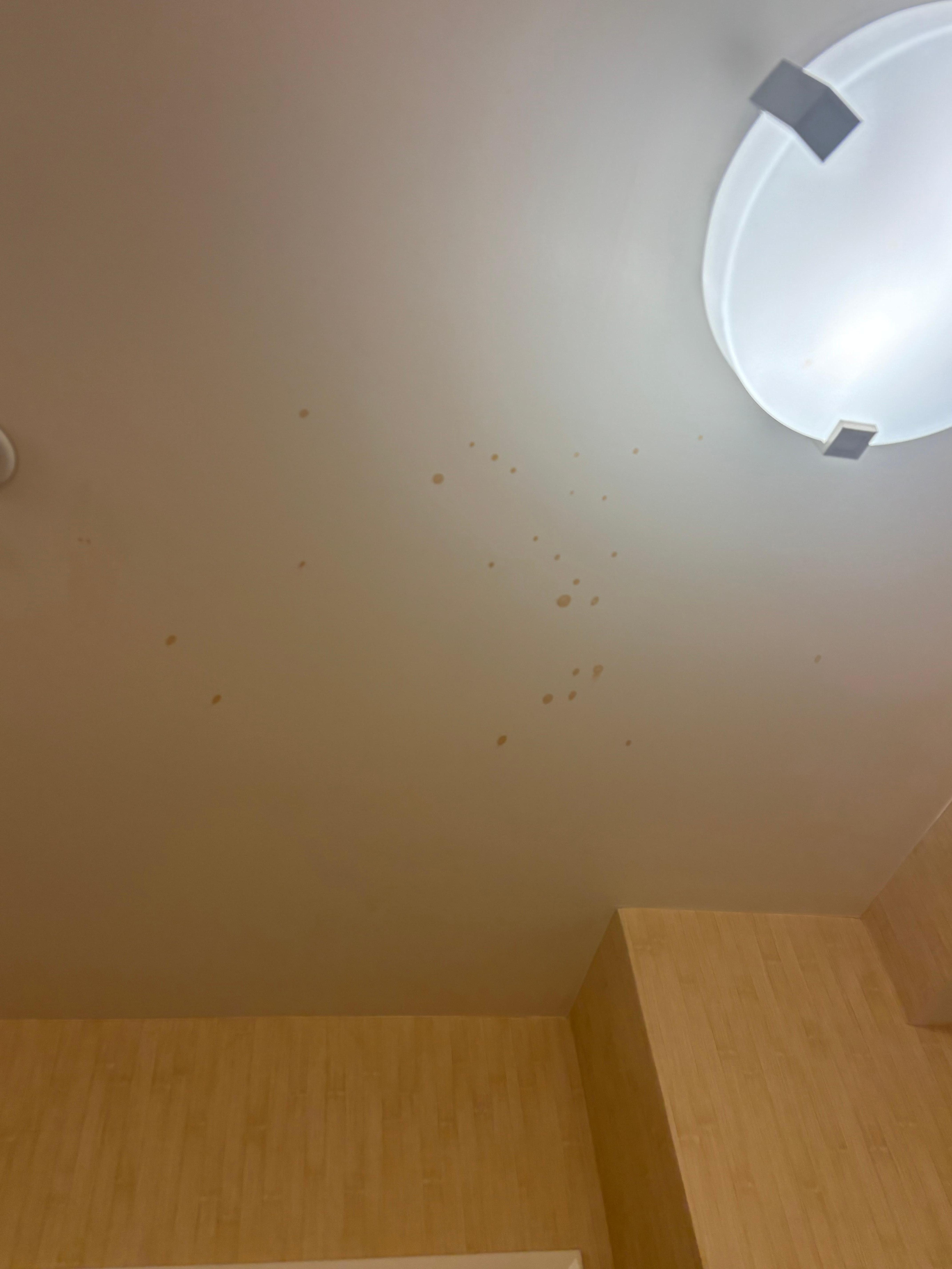Stains on bathroom ceiling 