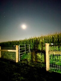 Cornfield right next door. Eerie but cool at night