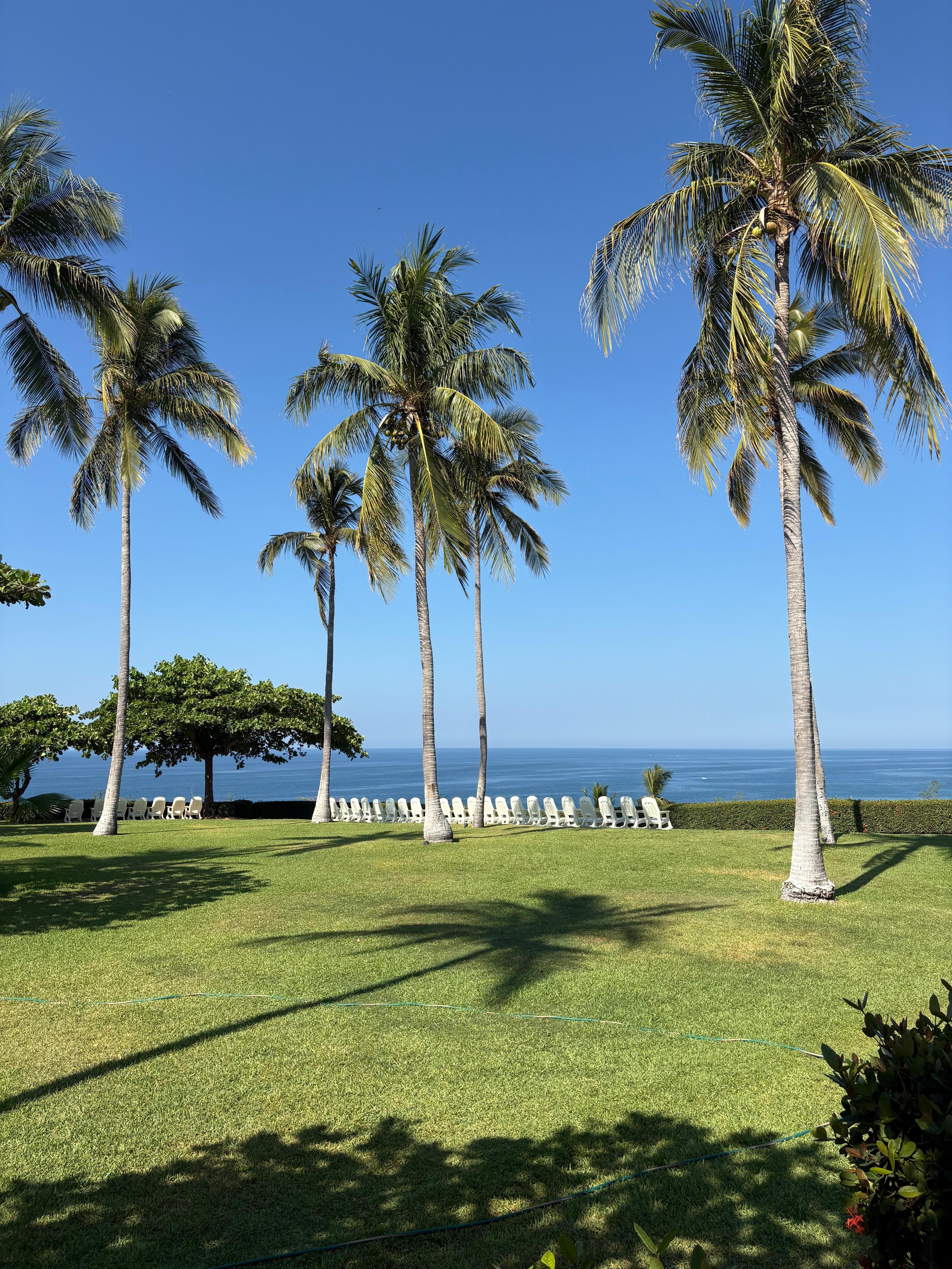 Una vista hacia el océano desde el jardin 
