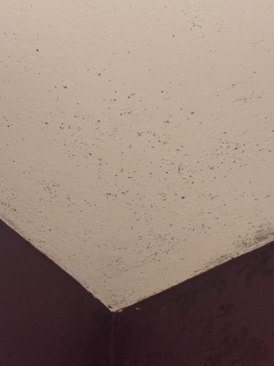 El techo no es estrellado, es la humedad