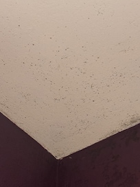 El techo no es estrellado, es la humedad