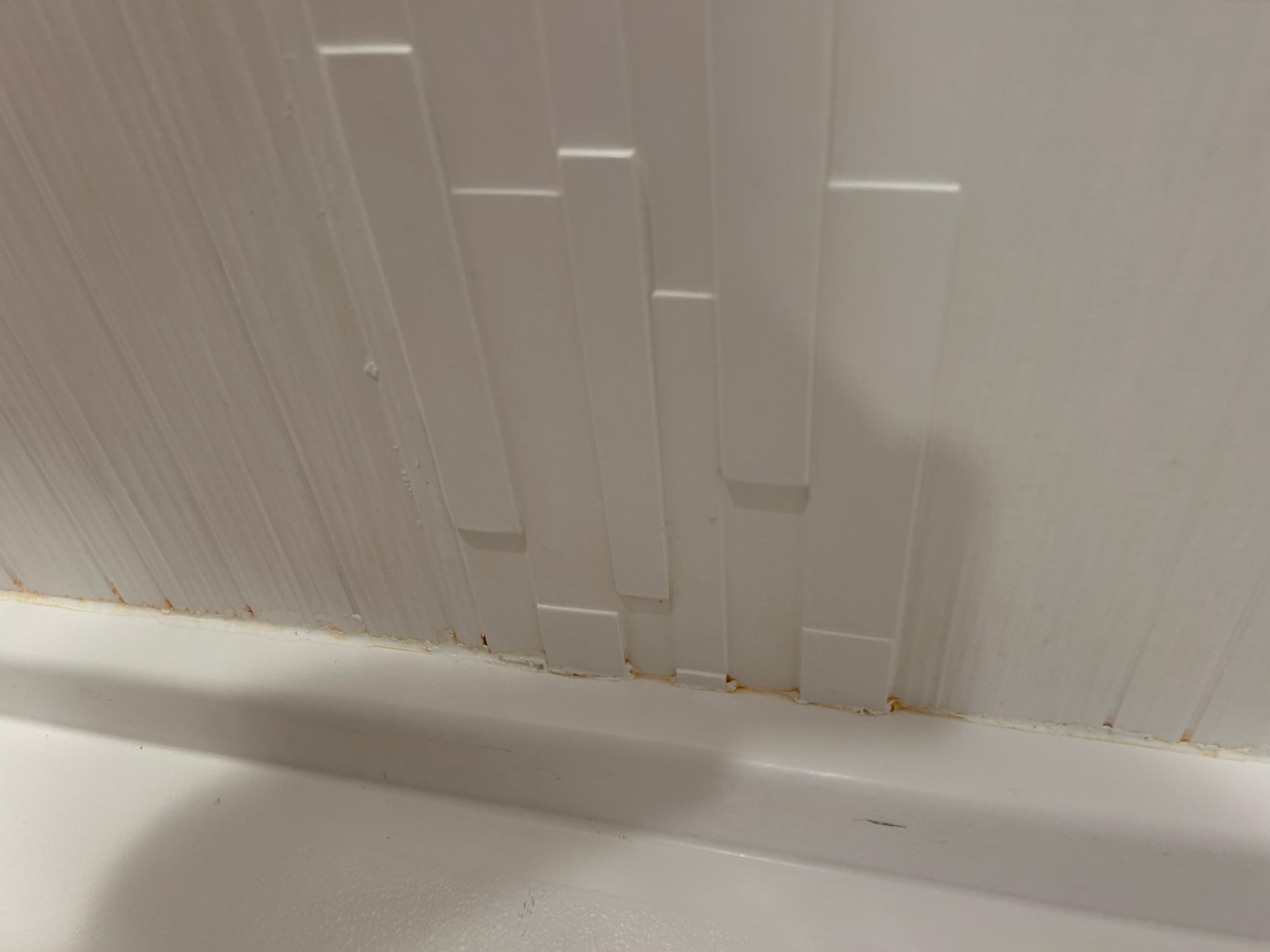 Dirty/gross shower pan