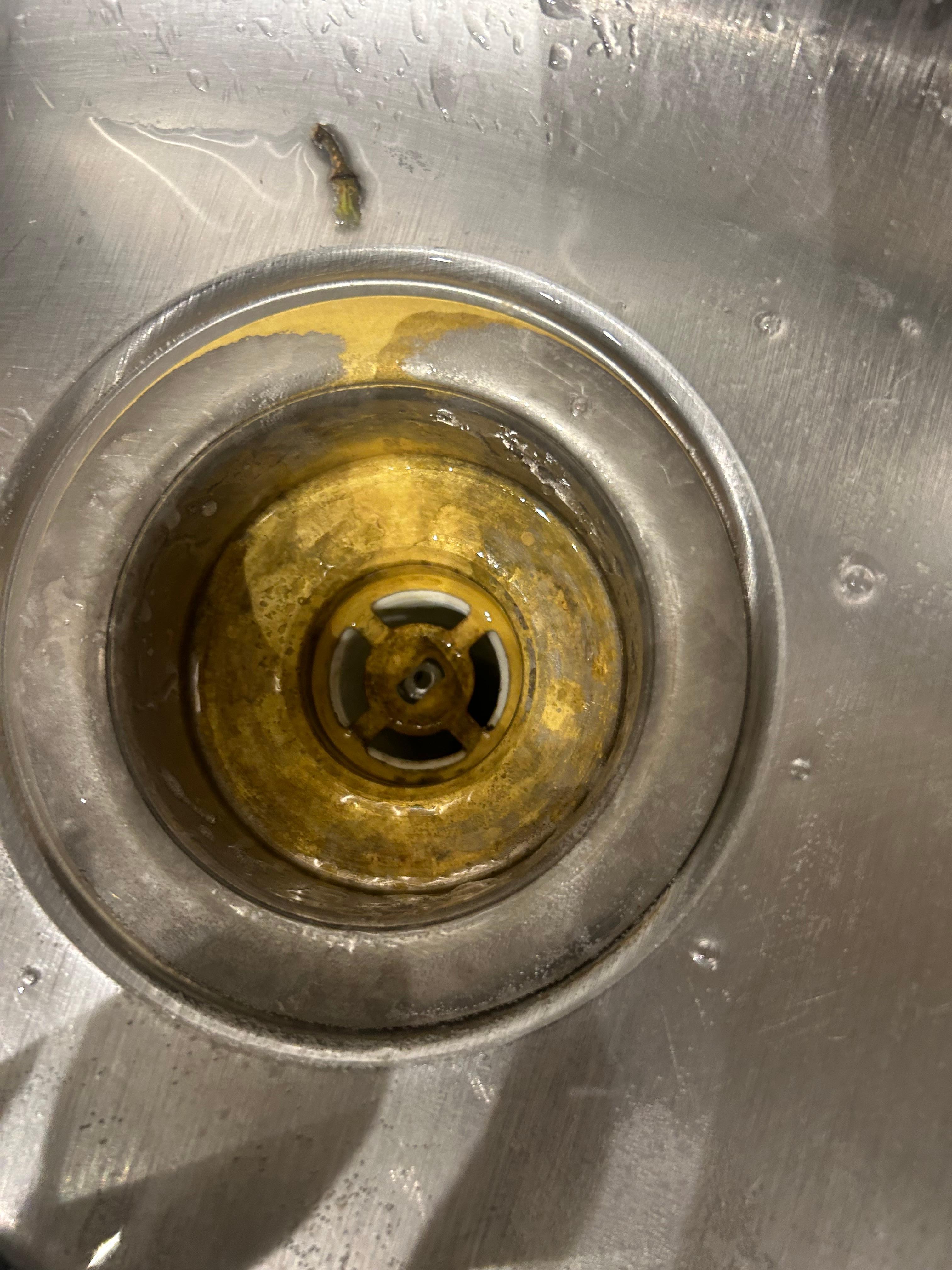 The kitchen sink