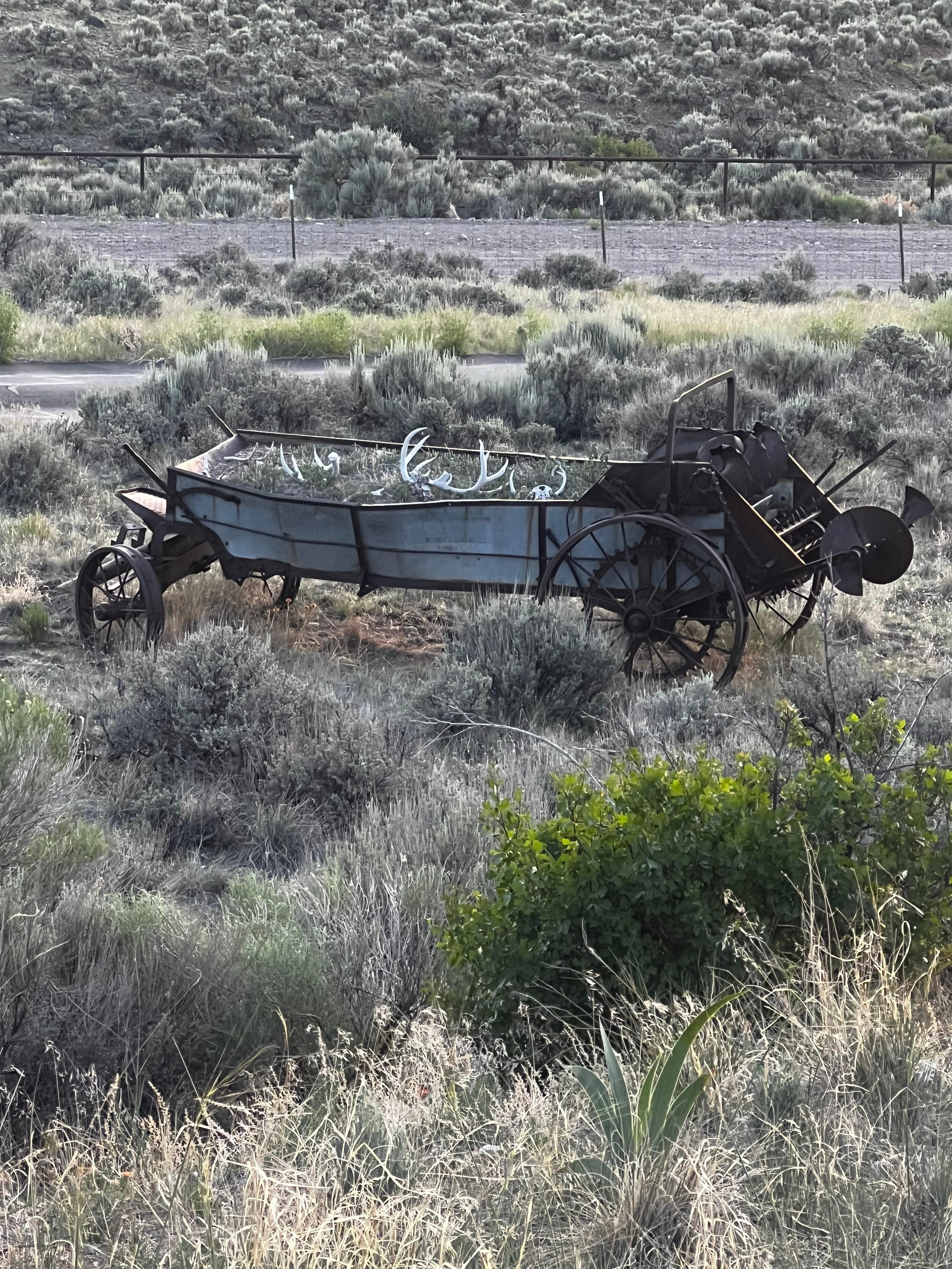Local historical culture